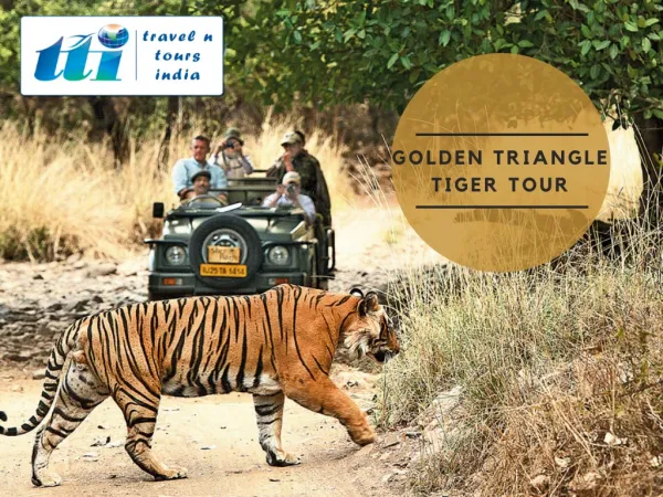 Golden Triangle and Tiger Tour | Golden Triangle Tour with Ranthambhore