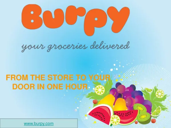 Burpy.com - Online Grocery Delivery Store