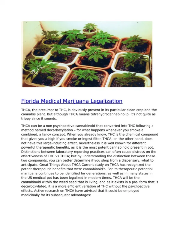 Florida Medical Marijuana Legalization