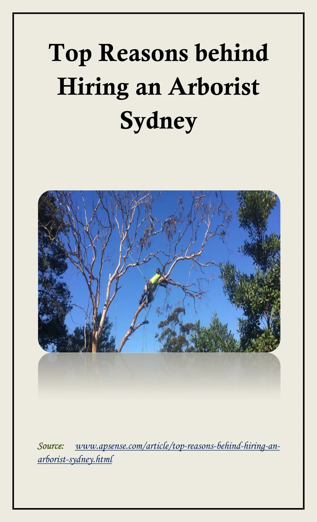 top reasons behind hiring an arborist sydney