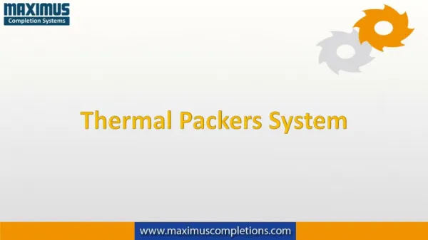 Thermal Packers System | single-string and double-grip retrievable style packer