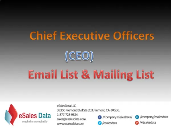 CEOs Mailing Lists|CEO Email Lists