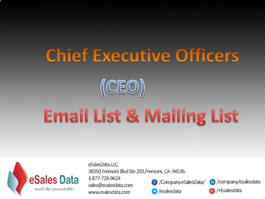chief executive officers
