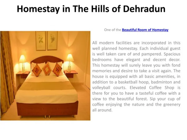 Homestay in The Hills of Dehradun