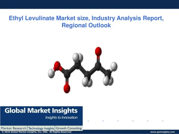 Ethyl Levulinate Market size, Market share Latest Forecast Report