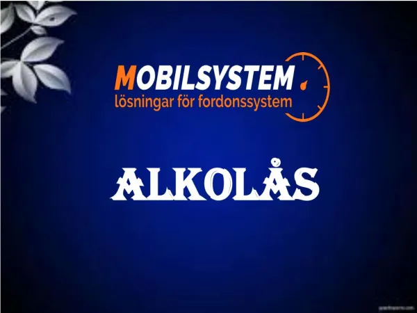 alkol s