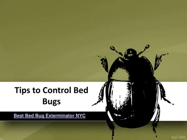 Tips to Control Bed Bugs