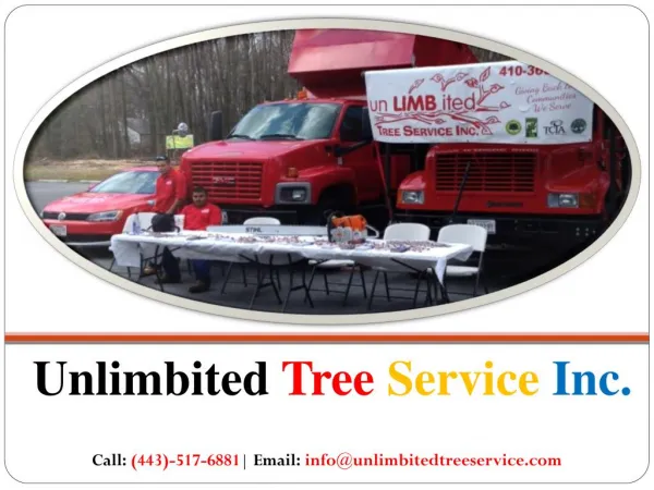 Tree Trimming Service in Baltimore, MD