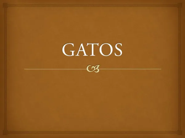 gatos