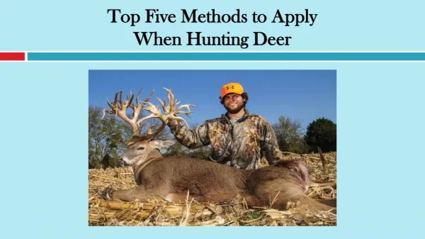 Top Five Methods to Apply When Hunting Deer