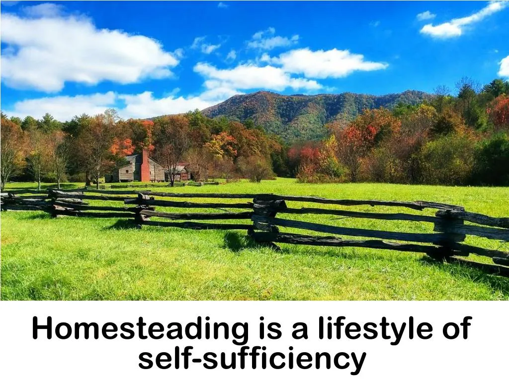homesteading is a lifestyle of self sufficiency