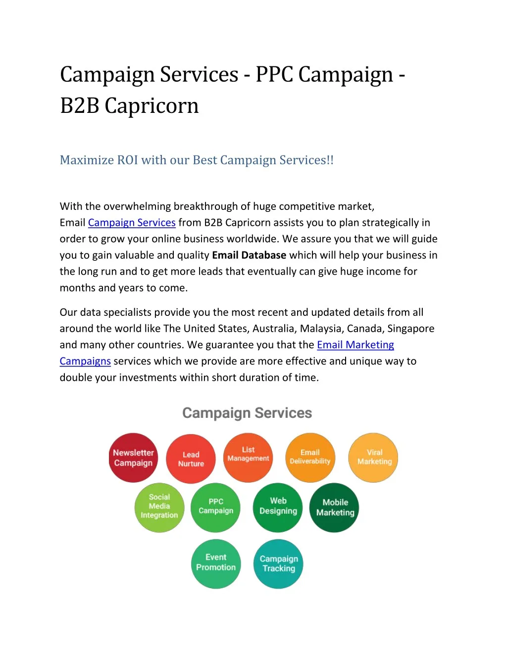 campaign services ppc campaign b2b capricorn