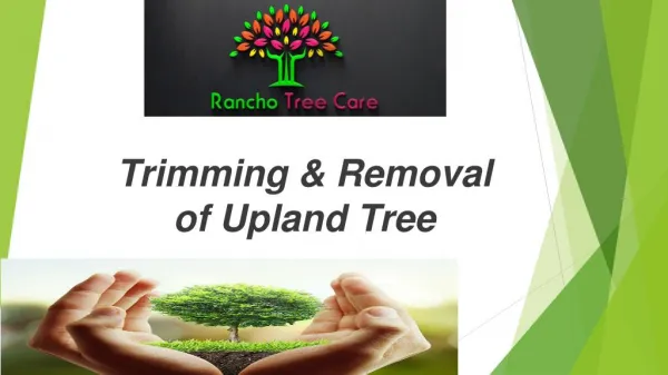 Quality Tree Trimming and Removal for Upland Tree