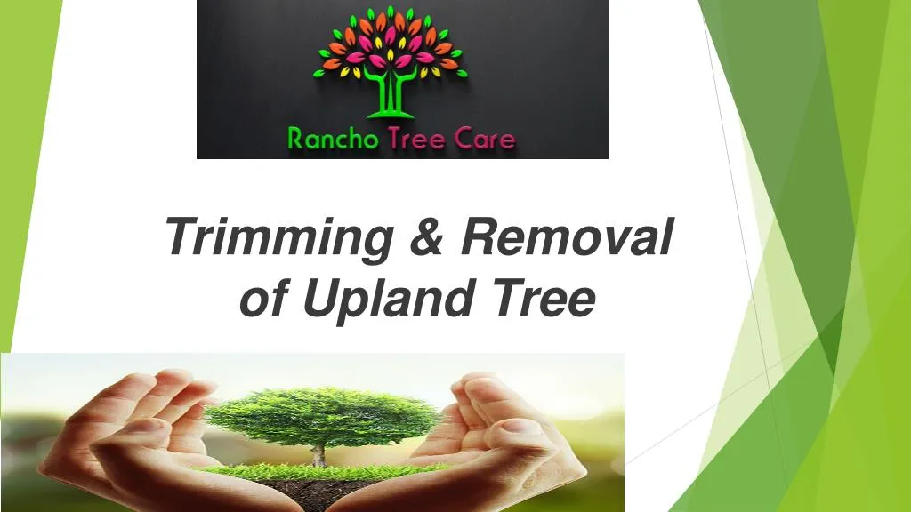 trimming removal of upland tree