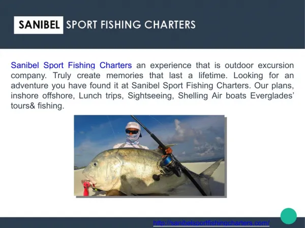 Fishing Trips Day and Night Deep Sea, Shark Fishing, Charter Boats at Sanibel FL
