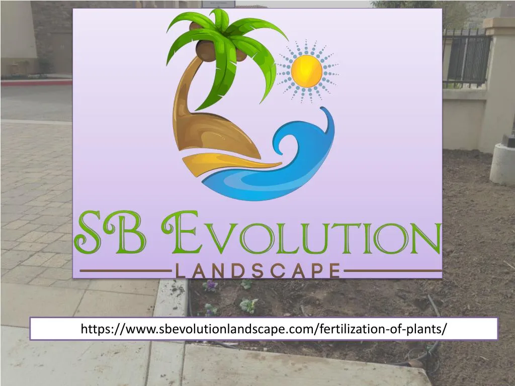 https www sbevolutionlandscape com fertilization