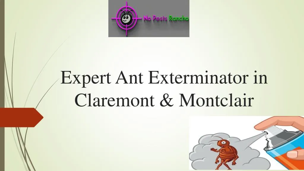 expert ant exterminator in claremont montclair