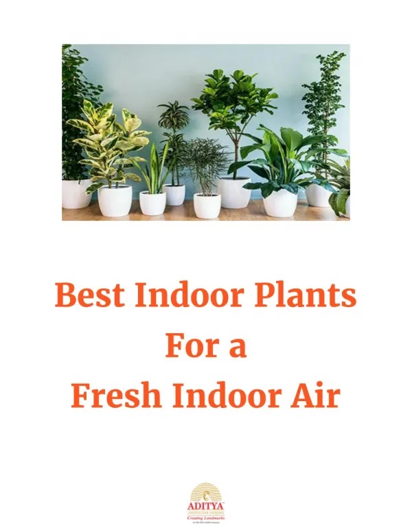 Best Indoor plants for a fresh indoor air By Aditya Constructions Hyderabad