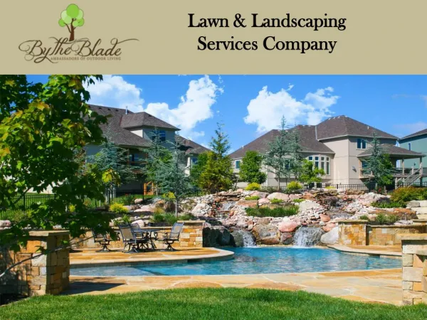 Lawn & Landscaping Services Company in Kansas City Missouri