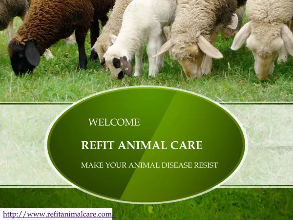 veterinary products manufacturers