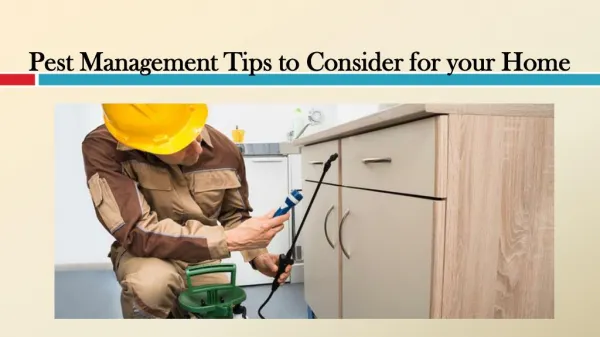 Pest Management Tips to Consider for your Home