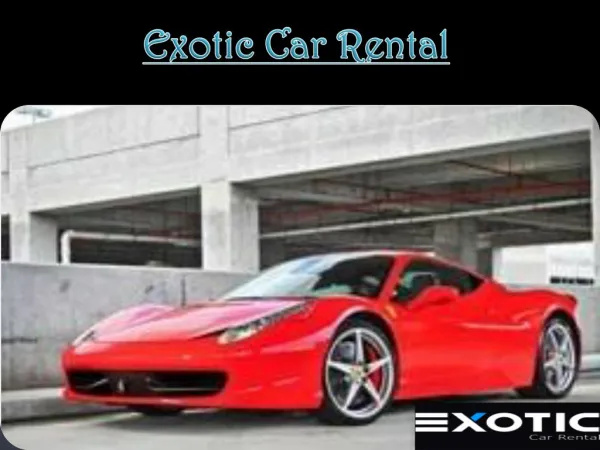 exotic car rental