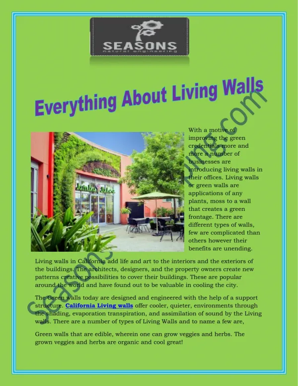 Everything about living walls