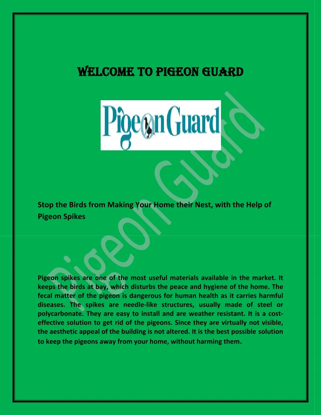 welcome to pigeon guard welcome to pigeon guard