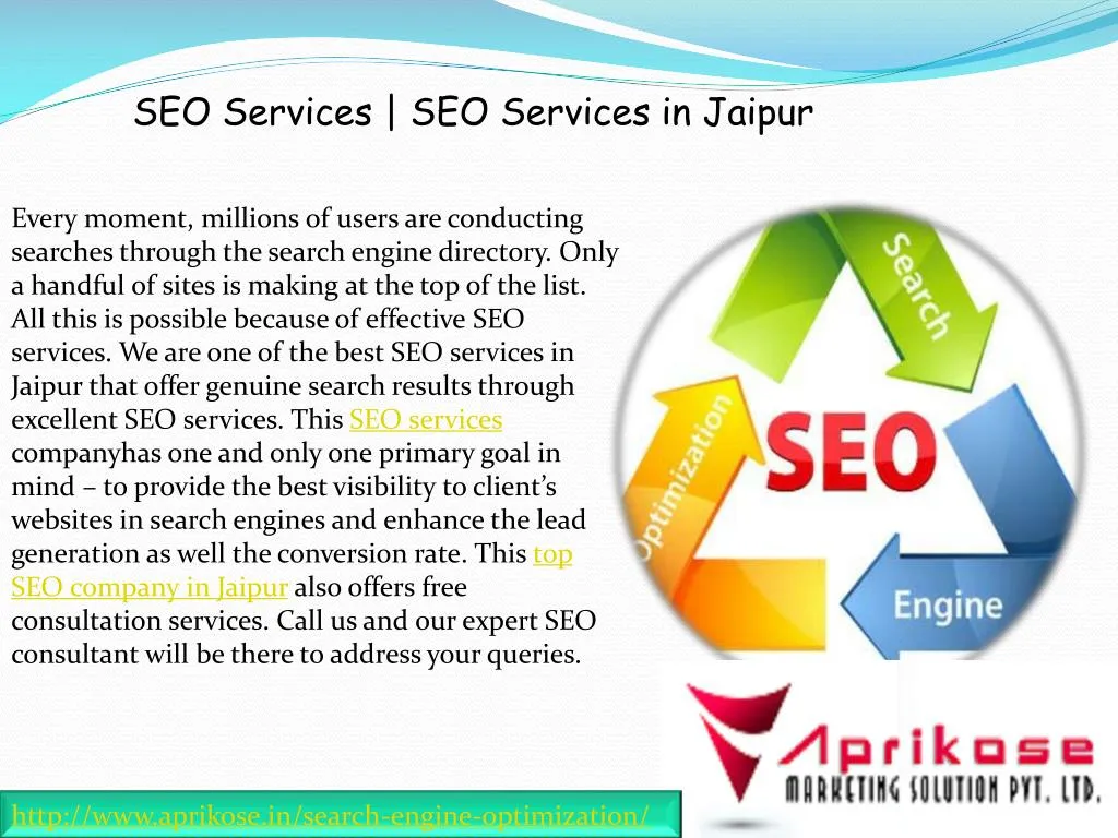 seo services seo services in jaipur