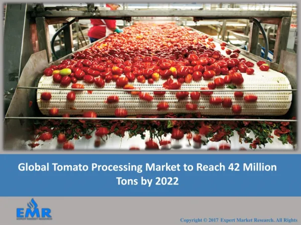 Tomato Processing Industry Report and Forecasts From 2017 To 2022