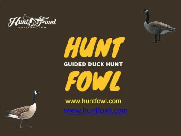 Guided Duck Hunts