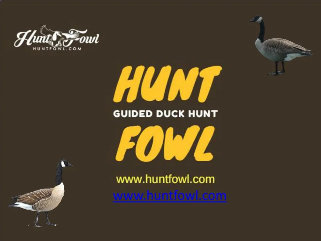 www huntfowl com