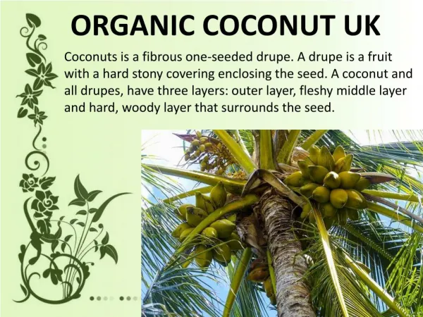Protection From Heart Disease Desiccated Coconut