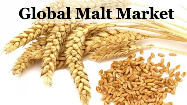 Global Malt Market