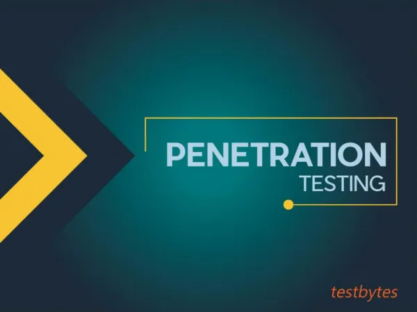Advanced Penetration Testing Services from Testbytes LLC
