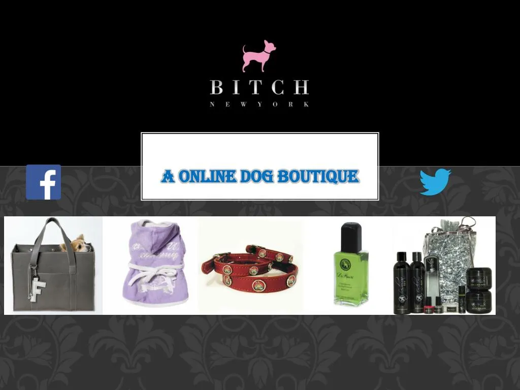 a online dog boutique