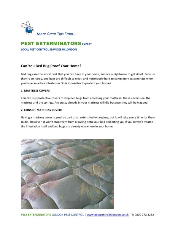 Can You Bed Bug Proof Your Home?