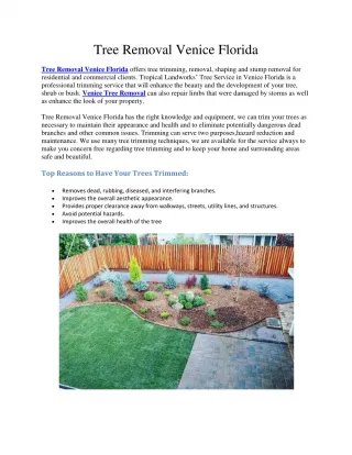 Landscaping Sarasota FL - slide 1