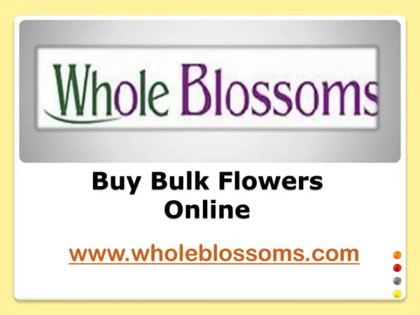 Buy Bulk Flowers Online - www.wholeblossoms.com