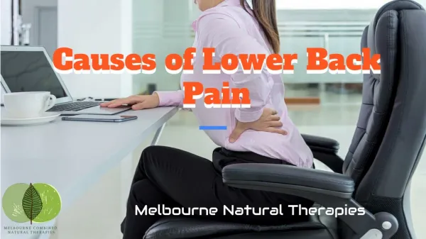 What is The Main Cause of Lower Back Pain?