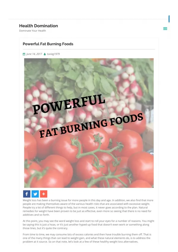 Powerful Fat Burning Foods