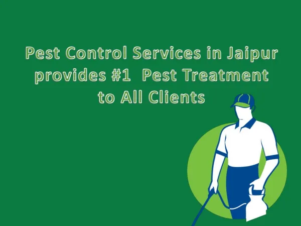 Pest Control Services in Jaipur provides #1 Pest Treatment to All Clients