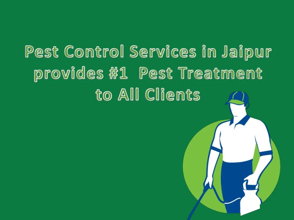 pest control services in jaipur provides 1 pest