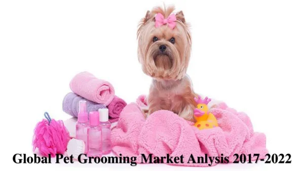 Global Pet Grooming Market Anlysis 2017-2022