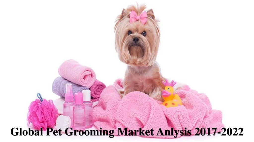 global pet grooming market anlysis 2017 2022