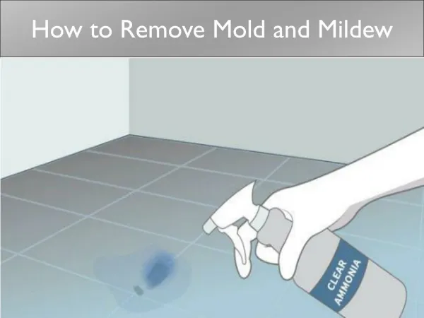 How to Remove Mold and Mildew