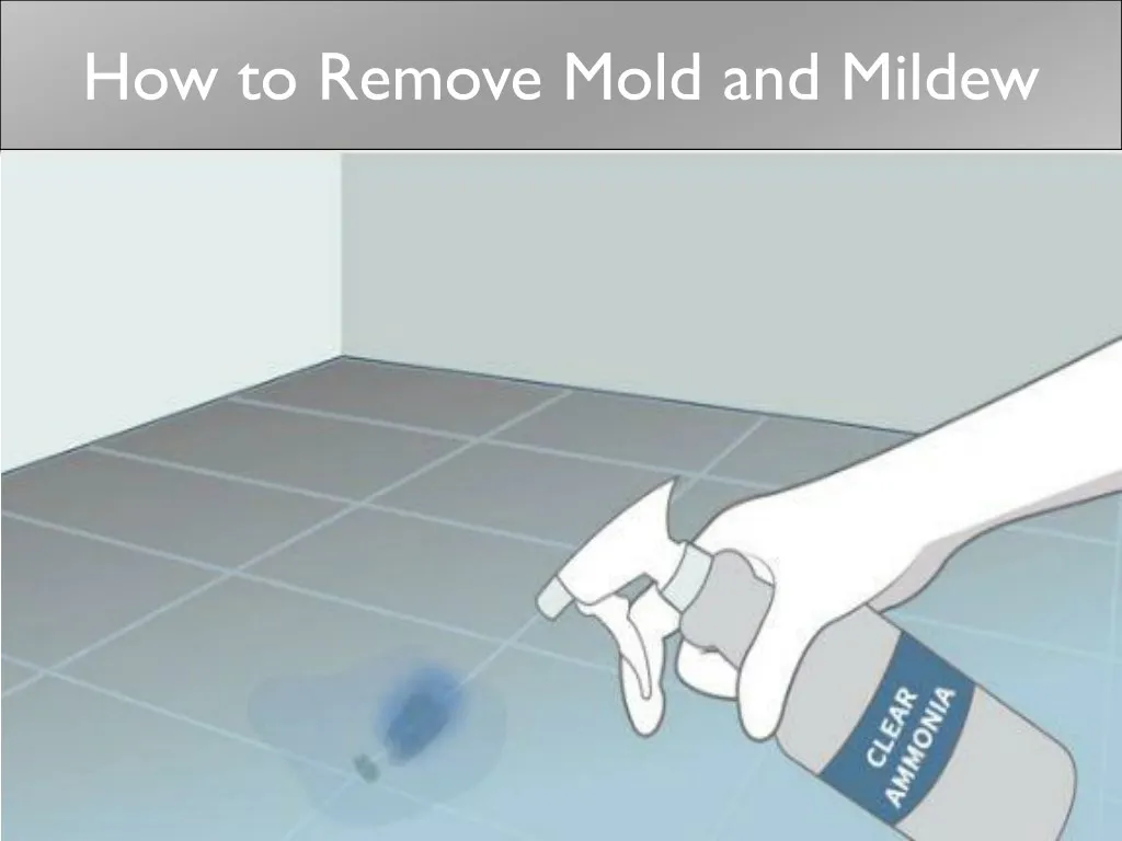 how to remove mold and mildew