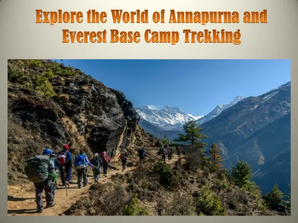 Explore the World of Annapurna and Everest Base Camp Trekking