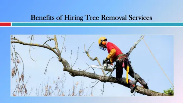 Benefits of Hiring Tree Removal Services