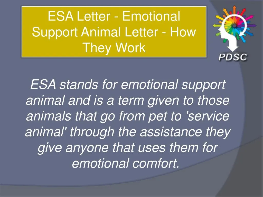 esa letter emotional support animal letter
